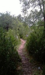 Un chemin caillouteux entre Pech Merle et Bouziès