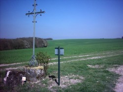 10 - Plateau de Neuville