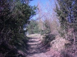 06 - Return to provence