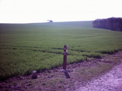 19-Sur le Chemin des Dames