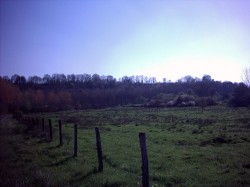 17-A l'assaut du Chemin des dames