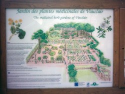 16-Jardin des plantes médicinales de Vauclair