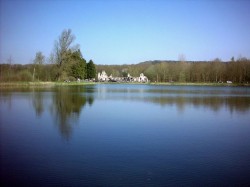Surgie de la forêt suite aux fouilles de 1966, les restes de l'abbaye rasée, d'abord par la révolution, ensuite par les obus de la "der des ders".