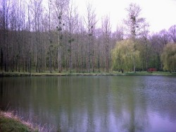 11-Plan d'eau de l'abbaye de Vauclair