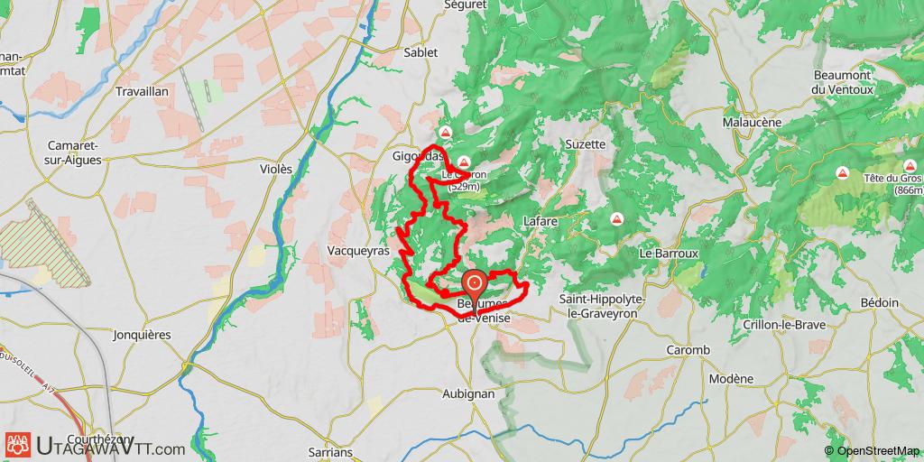 Dentelles de Montmirail