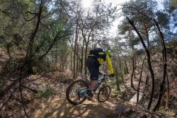 VTT-13919