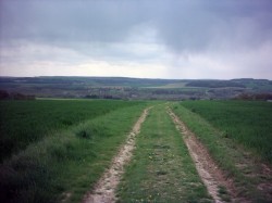 03-Vue du parcours