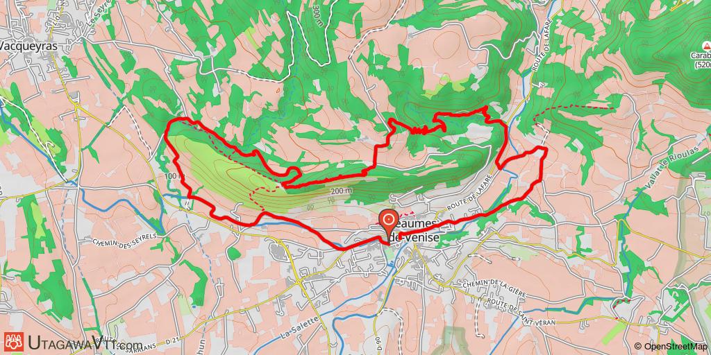 Entre Beaumes et dentelles de Montmirail