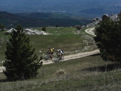 La lyonnaise team en profite...