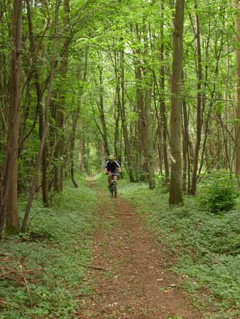 Forêt de Coucy: Les Leups 2006 - 35 km