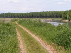 Sur les bords de la rivière la Sarthe