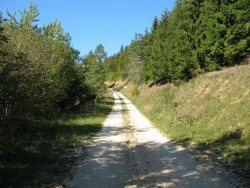 VTT-363