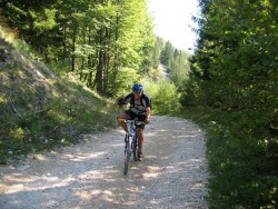 VTT-365