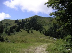 Fin de la piste forestière, début du Portage, on va derrière ce sommet .