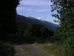 piste/route forestière