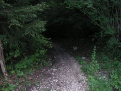 Début de la descente du PR vers Farge