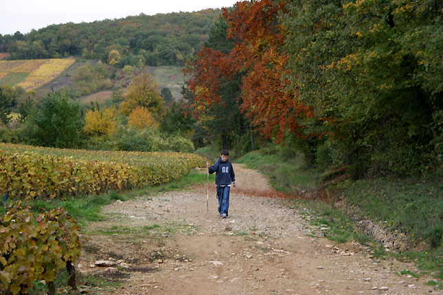 Côte de Beaune nord