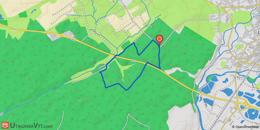 Petit tour en forêt de Vitrimont