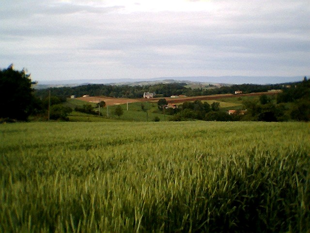 Virée des Grands Ducs 2006 -38 km 