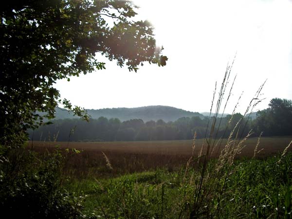 Aulnois-sous-Laon et les abbayes : Variante courte (40 km)