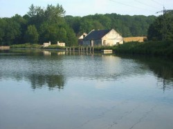 Uniquement sur le 50km