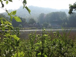 Uniquement sur le 50km