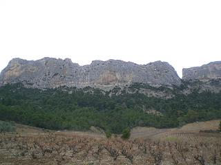 Crête de St-Amand - Dentelles de Montmirail