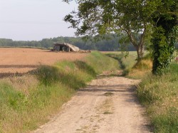 Un des nombreux dolmen de la région
