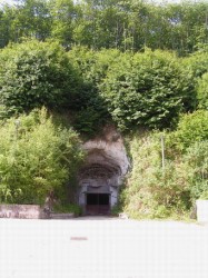 Et oui! les champignons de Paris pousse dans les caves du côté de Saumur