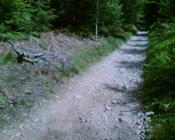 Chemin caillouteux (GR76)