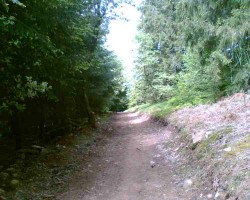 Chemin