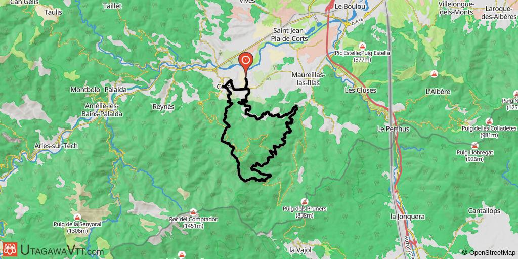 La cerise de Puig Fonfreda à Céret