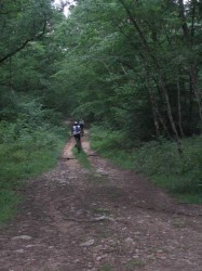Petit passage en forêt.