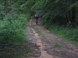 VTT-2003