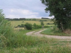 VTT-2004