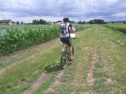 VTT-2006