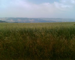 N 45°26'00.6"
E 04°32'49.5"