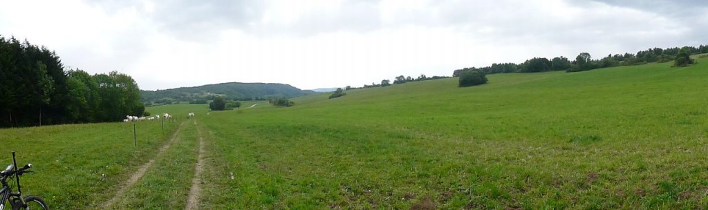 Sur le plateau d'Hauteville-Lompnès