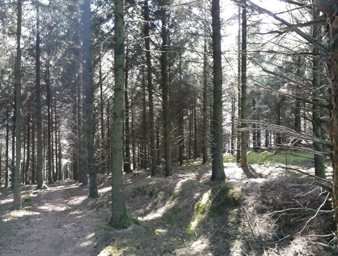 Belle-Isle-en-Terre - N°8