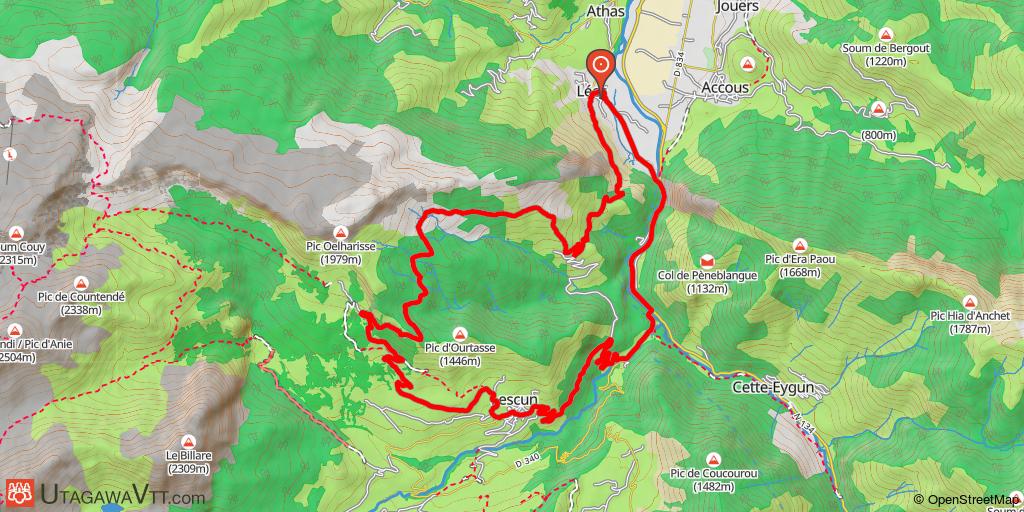 Traversée de la forêt d'Anitch - Vallée d'Aspe