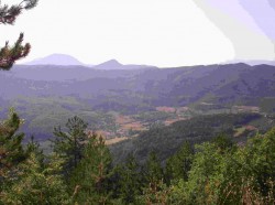 la vallée côté Nyons