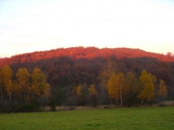 paysage de Haute Saône