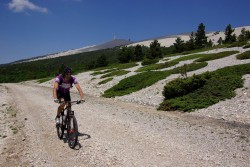 Partie sommitale du Mont Ventoux - étape Bedoin - Aurel