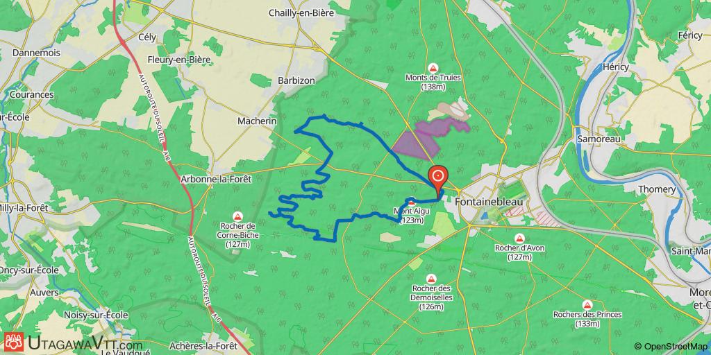 Forêt de Fontainebleau - Ouest