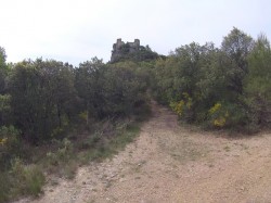 LE VIEUX CHATEAU DE VINS