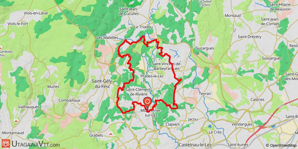 Les Pinèdes du Lez 2014 - 40 km