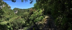Bois de saint Montant 1