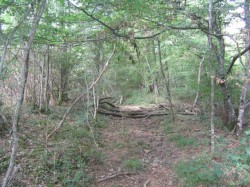 La portion en forêt pas trés praticable.