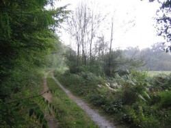 En bordure de bois.