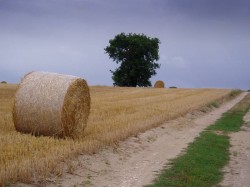 Prés du Golf de Trebeneuc